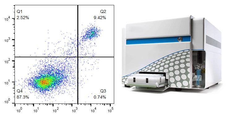 Coligh Flow cytometer optical filter - flow cytometry filters